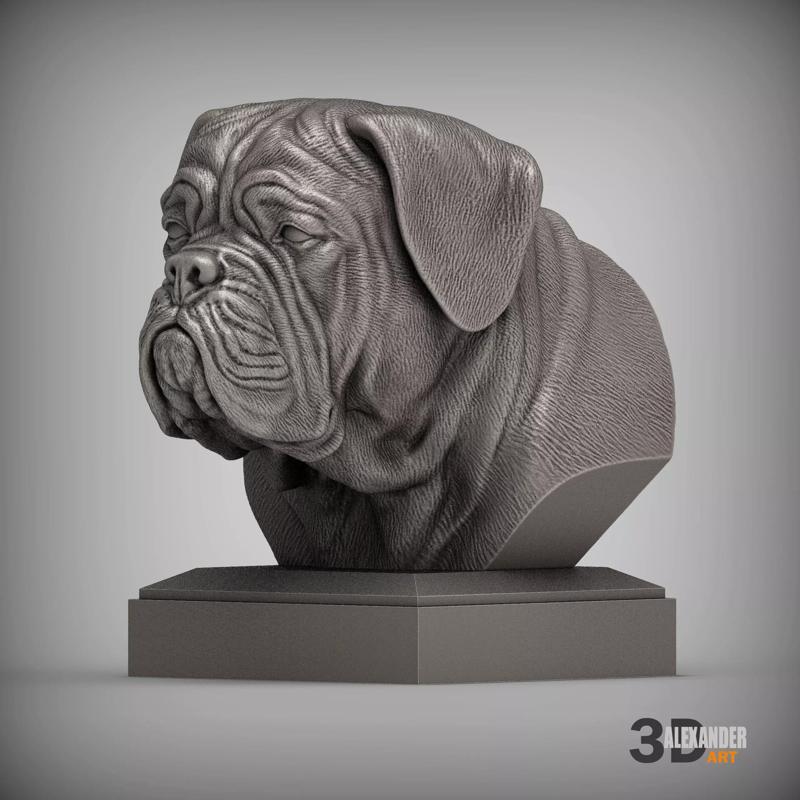 Dogues de Bordeaux bust