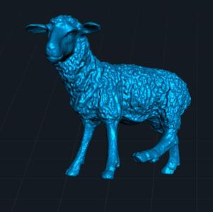 sheep