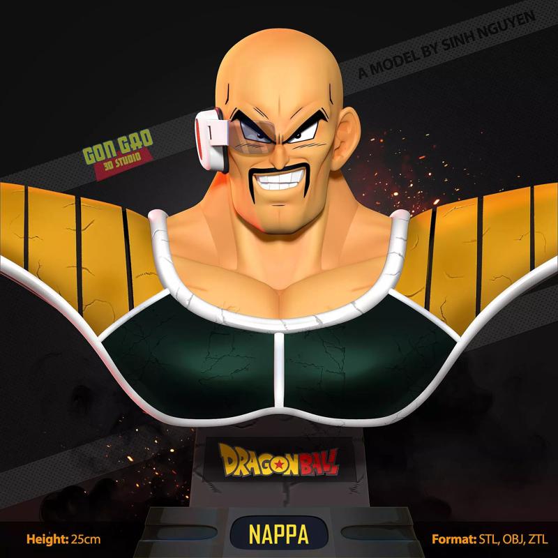 Nappa bust