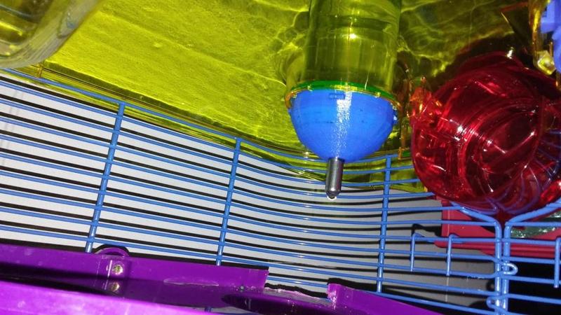 top mount water bottle for kaytee habbitat