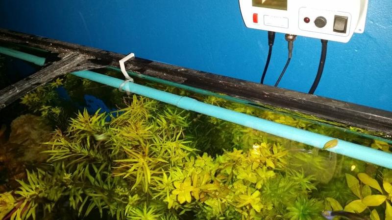 55 Gallon Aquarium SprayBar