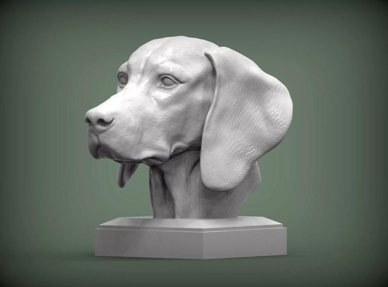 Hungarian vizsla Hungarian Pointing Dog 3D print model