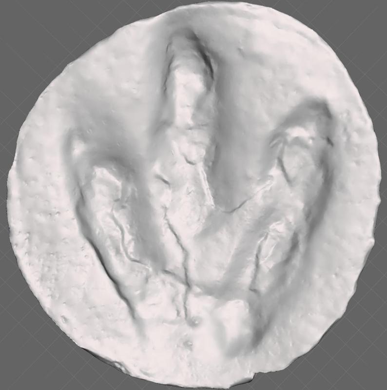 Life-sized Dilophosaurus Footprint V2.