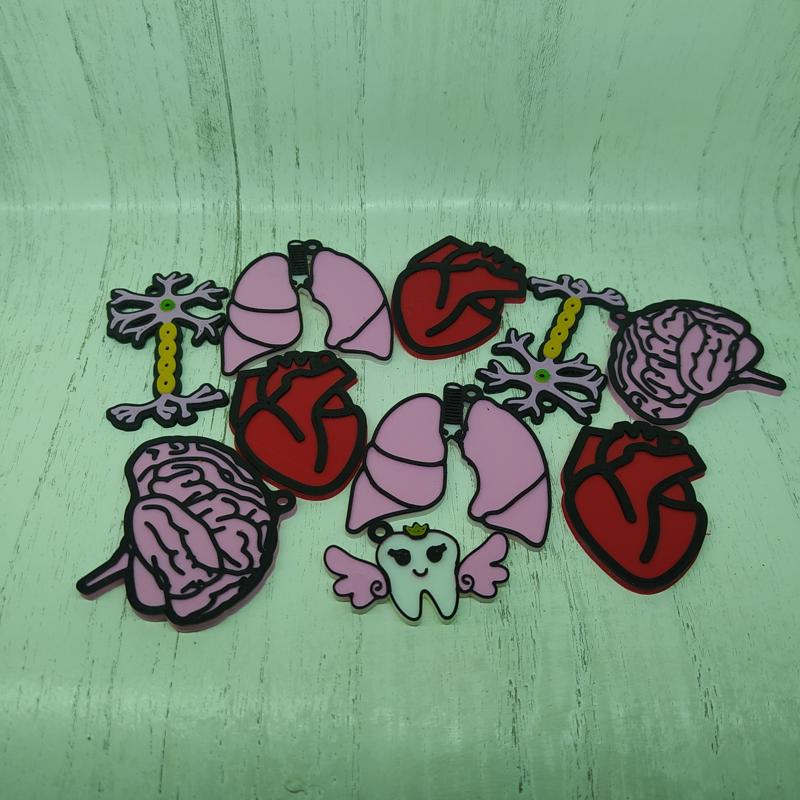 Lavero Pulmonary heart brain brain neuron skull