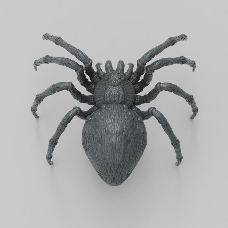 Spider