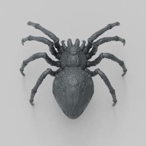 Spider