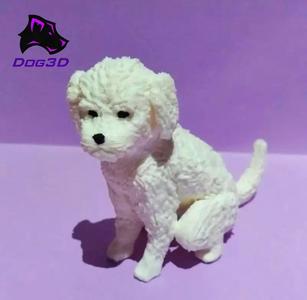 Maltese dog - 3D printable