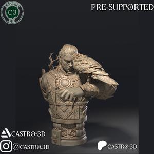 Halsin - BG3 Bust Collection 3D print model