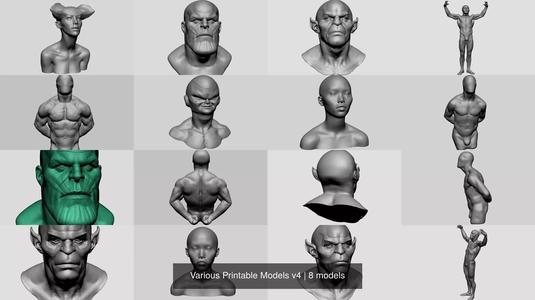 Various Printable Models v4 3D Model Collection