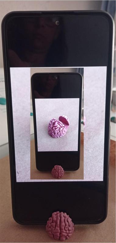 Suport Celular Mini Cérebro