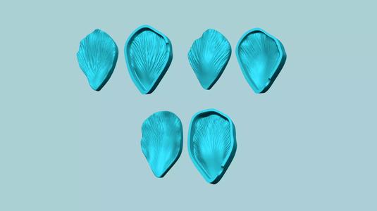 03 Tulip Flower Petals - Molding Artificial EVA Craft 3D Model Collection