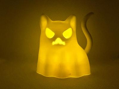 Halloween cat wearing ghost costume