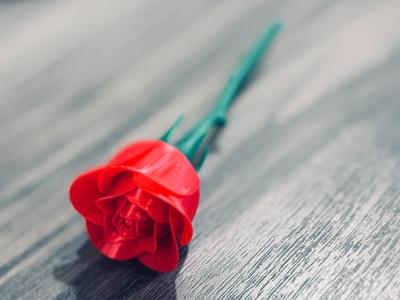 Rose in Hand