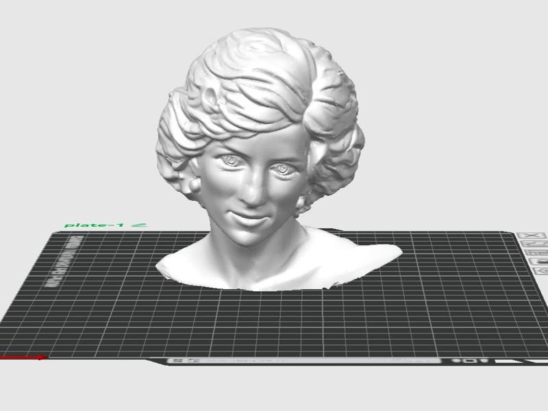 Lady Diana Princess of Wales