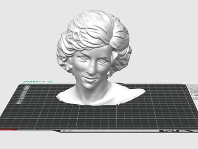 Lady Diana Princess of Wales