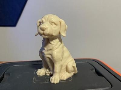 Sitting Puppy Sculpture! 