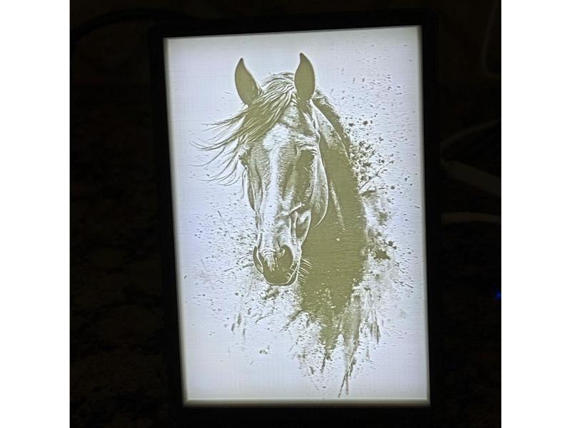 Horse Lithophane