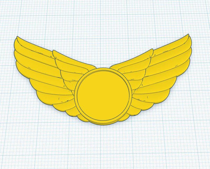 Pilot wings / Pilot pin / Aviator / Aviator / Piocha /Insignia