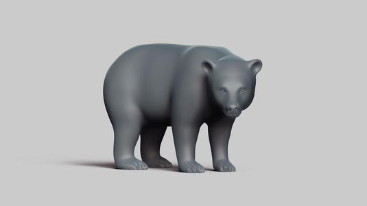 Black Bear Pose 01