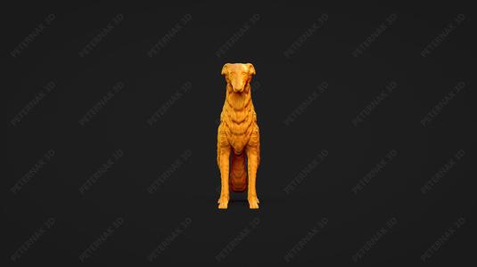 Borzoi Dog 3D Print Model Pose 01
