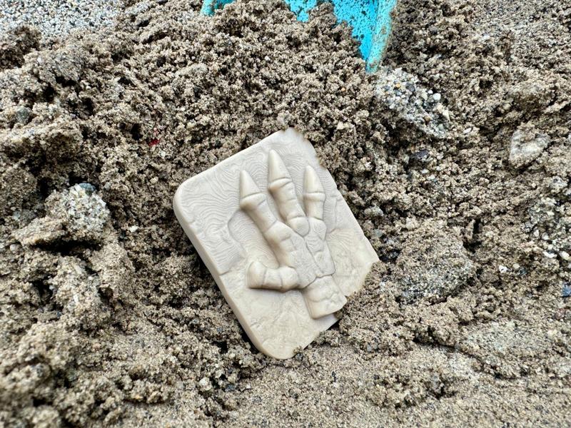 Dinosaur Foot Fossil Excavation