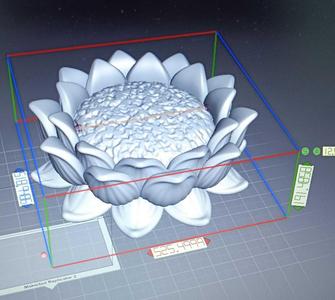 lotus