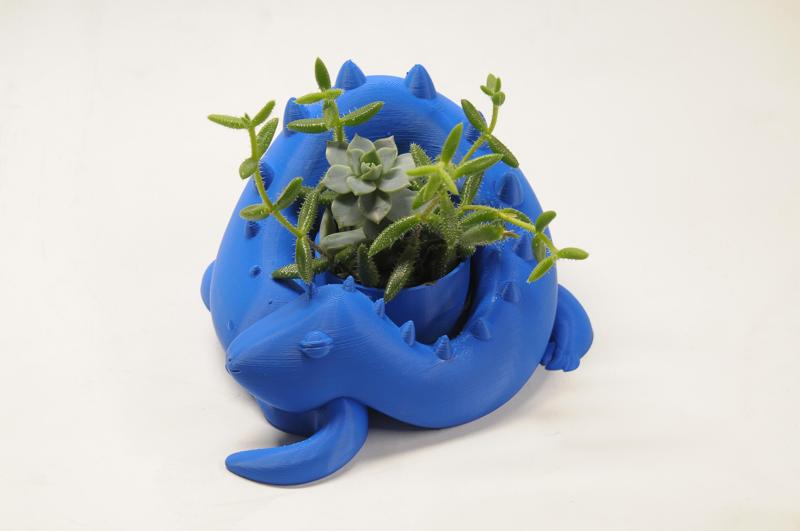 Dragon planter