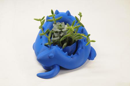Dragon planter