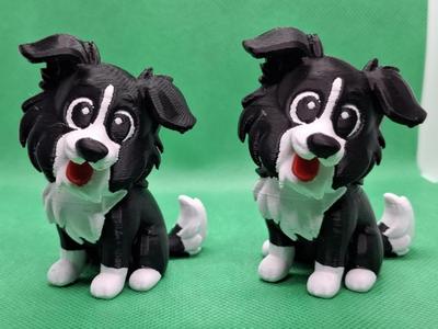 bordercollie