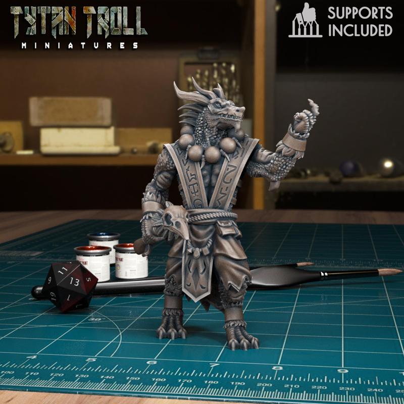 DnD Heroes - Dragonborn Male Mage [Pre-Supported]