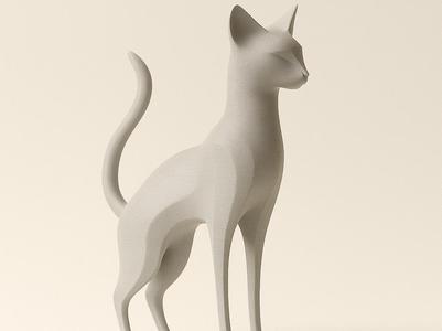 Simple and elegant kitten