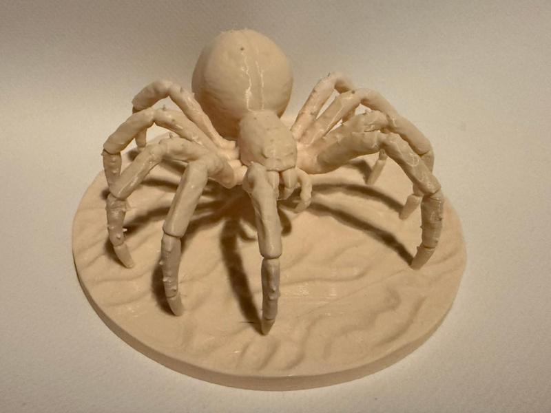giant spider in the Dungeons and Dragons game DND