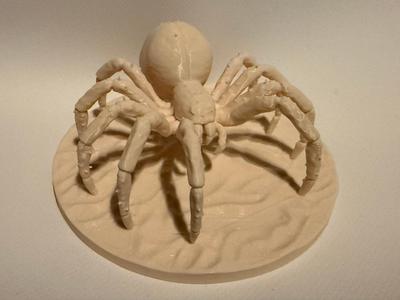 giant spider in the Dungeons and Dragons game DND