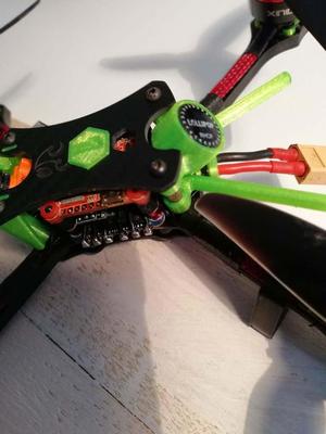 CherryCraft Stamina Axii Mount