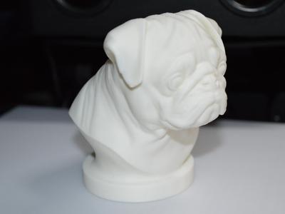 Pug Bust