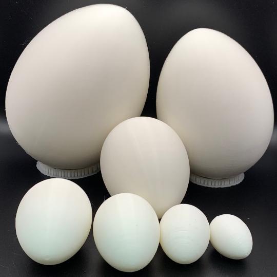 All Egg Sizes Trainer Eggs