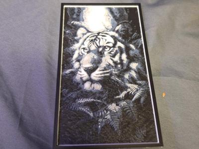 b/w tiger face