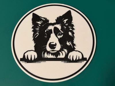 Collie coaster - 100mm