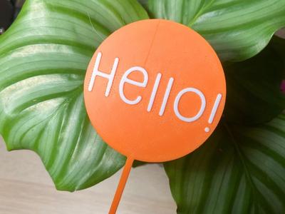“Hello” Encouragement Plant Gift Sign