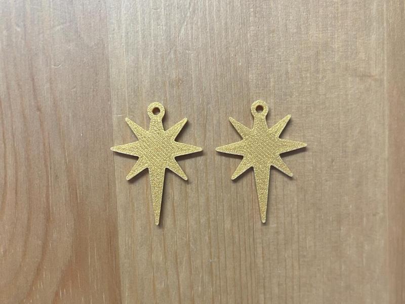 Star Earrings