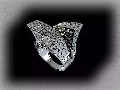 Fusion mirror ring