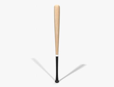 Baseball Bat