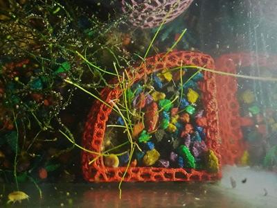 Corner aquarium planter