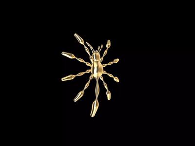SPIDER BROOCH