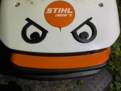 Eyes for Robotic Lawnmower
