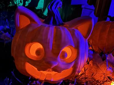 Cute Cat Face Jack-O-Lantern Pumpkin Halloween 