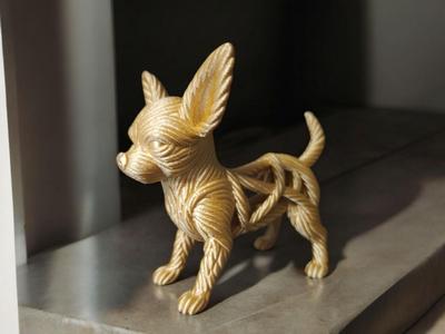 Braided Chihuahua