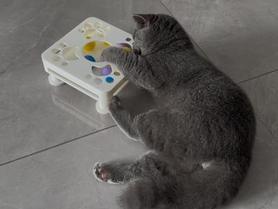 Cat Toy