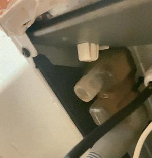 Baxi Duo-Tec Compact boiler Condensate Trap cap