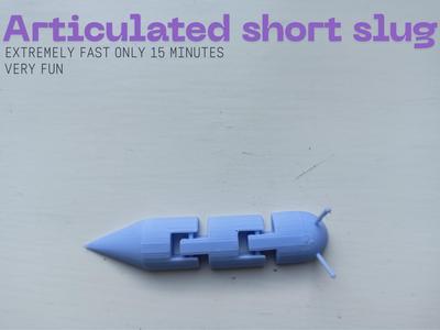 Articulated short slug 